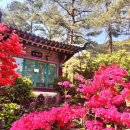 감추사입구주차장 이미지