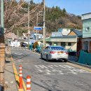 산호동187 이미지