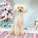 몽글 몽글 이미지