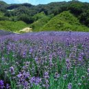 윤정농장 이미지