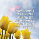 행복한나무 Daum카페