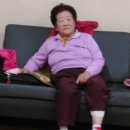 대진경로당 Daum카페