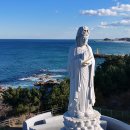 양양애서 이미지