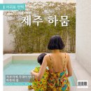 제주여백 스테이 | 서귀포독채펜션 제주 하뭄 :: 아이와 함께 힐링하기 좋았던 이유