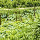 소터농장 이미지