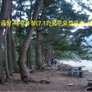 금장해수욕장 Daum카페