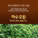 녹우컴파운드 네이버블로그