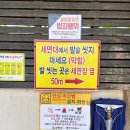 무안수퍼 | 광주·목포 근교 아이랑 당일치기 ㅣ 무안 톱머리해수욕장 캠크닉 후기