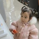 선화유치원 이미지