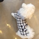 산휴게점 | [가평여행] '가평레일바이크' 솔직후기&amp;'가평 대원사' (대원사 강아지 귀엽당. 히히)