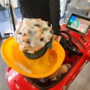 컷트랑파마랑 | 광주북구아기컷트의자있는미용실 디어리스트비 에서 광주아기파마 돌쟁이아기컷트 하기