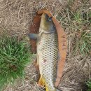 청도천3 이미지