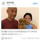 큐티댕냥 하남 본점 강아지 고양이 분양 이미지