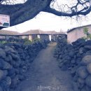 몽돌바당 이미지