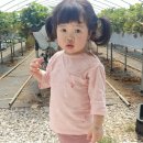 옥종농장 이미지