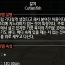 낚짜 네이버블로그