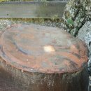 수락폭포 펜션 이미지