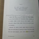 인어루트