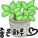 해미아구찜