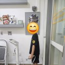 용인대 국가대표 부부태권도 이미지