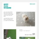 개님살롱 레이크사이드 이미지