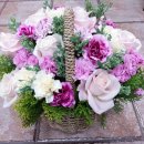 파스텔A 이미지