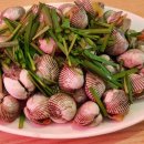 (주)엔코 이미지