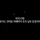 모아스카우트
