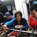 고성공룡나라(통영) 이미지