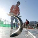 문양낚시터 이미지