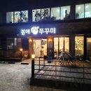 남해쭈꾸미 이미지