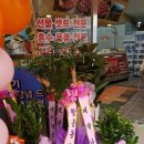 옥포한우정육점 | 울주군범서읍맛있는정육점 옥포한우정육점