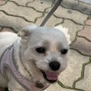 푸른길약국 이미지