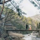 찜닭마을 이미지