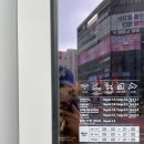 파스쿠찌고양