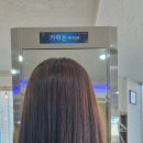 가위손미용실 네이버블로그