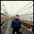 푸른들농장 이미지