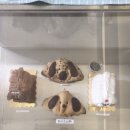 퍼피하우스 이미지