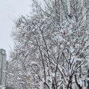 1번가공인중개사사무소 이미지