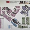 다음세대 태권도 이미지