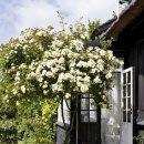 아지트492 이미지