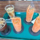 그린피버 이미지