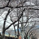 여좌천로 이미지