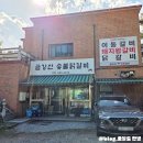 용추숯불닭갈비 | 가평 애견동반 식당 금강산 숯불닭갈비 솔직 후기