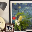 심심풀이 | 가드닝 원데이 클래스 후기, 심심풀이에서 구근화분 심고 옴