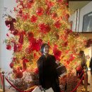 오보코리아 | 세계 1위 유기농 힙 Hipp 엠버서더 연말 파티 후기 역대급 선물 혜택 총정리 !