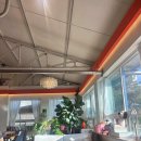 미미애견 | 인천 서구 왕길동 애견동반 카페 ‘미미’ / 내돈내산후기