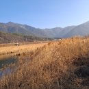 청도강변돌고래펜션 이미지