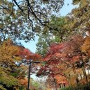 양림정 분수 | SRT 광주여행 1박2일 알찬코스^^