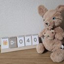 안성성모치과의원 | [남매쌍둥이 30w] 여전한 집콕일상 애기빨래하구, 섬세이 바디드라이어 좋군, 쌍둥마미는 이제 조산이...